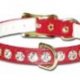 Collars and Leashes