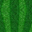 SEAT CUSHIONS - 50 UNITS