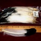 Black tip Imitation Eagle Feathers Pack of 100 4-7"  length