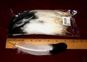 Black tip Imitation Eagle Feathers Pack of 100 4-7"  length