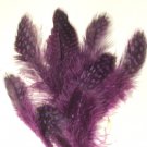 Spotted Guinea hen feathers 1/4 oz packet Body Plummage Purple