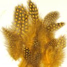 Spotted Guinea hen feathers 1/4 oz packet Body Plummage Gold Spotted Guinea hen feathers 1/4 oz packet Body Plummage Gold