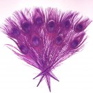 10 Peacock Feathers w Eyes Dyed Plum Purple 10-15" L