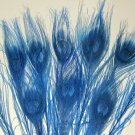 10 Peacock Feathers w Eyes Dyed Royal Blue 10-15" L