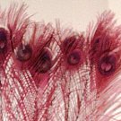 10 Peacock Feathers w Eyes Dyed Burgundy 10-15" L