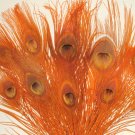 100 Peacock Eye Feathers ORANGE 10-15" L bleached & dyed