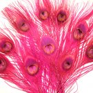 100 Peacock Eye Feathers HOT PINK 10-15" L bleached & dyed 100 Peacock Eye Feathers HOT PINK 10-15" L bleached & dyed