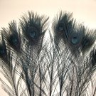 100 Peacock Eye Feathers BLACK 10-15" L bleached & dyed 100 Peacock Eye Feathers BLACK 10-15" L bleached & dyed