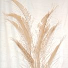 50 Peacock Sword Feathers Bleached  & Dyed EGGSHELL 20-25" L