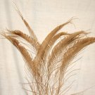 50 Peacock Sword Feathers Bleached & Dyed GOLDEN BROWN 20-25" L 50 Peacock Sword Feathers Bleached & Dyed GOLDEN BROWN 20-25" L
