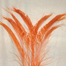 50 Peacock Sword Feathers Bleached & Dyed ORANGE 20-25" L 50 Peacock Sword Feathers Bleached & Dyed ORANGE 20-25" L