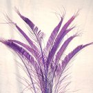 50 Peacock Sword Feathers Bleached & dyed PLUM PURPLE 20-25" L