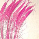 50 Peacock Sword Feathers Bleached & Dyed HOT PINK 20-25" L 50 Peacock Sword Feathers Bleached & Dyed HOT PINK 20-25" L