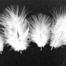 100 + Small WHITE 1-3" Marabou Fluff Feathers 1/4 oz 100 + Small WHITE 1-3" Marabou Fluff Feathers 1/4 oz