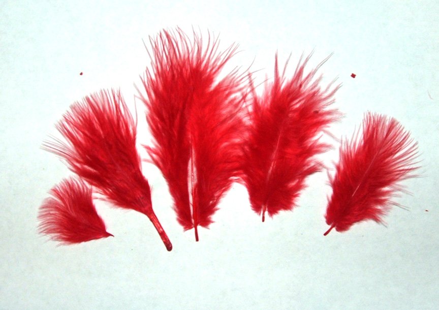 100 + Small RED 13" Marabou Fluff Feathers 1/4 oz