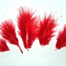 100 + Small RED 1-3" Marabou Fluff Feathers 1/4 oz 100 + Small RED 1-3" Marabou Fluff Feathers 1/4 oz