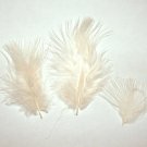 100 + Small EGGSHELL 1-3" Marabou Fluff Feathers 1/4 oz 100 + Small EGGSHELL 1-3" Marabou Fluff Feathers 1/4 oz