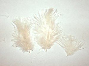 100 + Small EGGSHELL 1-3" Marabou Fluff Feathers 1/4 oz