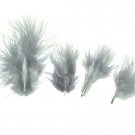 100 + Small BLUE DUNN 1-3" Marabou Fluff Feathers 1/4 oz 100 + Small BLUE DUNN 1-3" Marabou Fluff Feathers 1/4 oz
