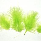 100 + Small  LIME GREEN 1-3" Marabou Fluff Feathers 1/4 oz