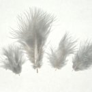 100 + Small GRAY 1-3" Marabou Fluff Feathers 1/4 oz 100 + Small GRAY 1-3" Marabou Fluff Feathers 1/4 oz