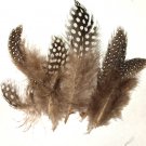 Spotted Guinea hen feathers 1/4 oz packet Body Plummage Natural