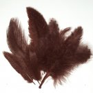 1-4" Spotted Guinea hen feathers 1/4 oz packet Body Plumage Brown