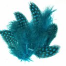 1-4" Spotted Guinea hen feathers 1/4 oz packet Body Plumage Turquoise Blue