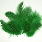 1-4" Spotted Guinea hen feathers 1/4 oz packet Body Plumage Kelly Green