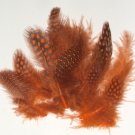 1-4" Spotted Guinea hen feathers 1/4 oz packet Body Plummage Orange