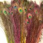 Peacock eye feathers Stem Dyed 100 NEON MIX L 30-35"