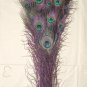 Peacock eye feathers Stem Dyed 100 PLUM PURPLE L 30-35"