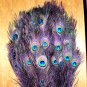 Peacock eye feathers Stem Dyed 100 REGAL PURPLE L 30-35"