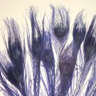100 Peacock EYE Feathers REGAL PURPLE 10-15" L bleached & dyed