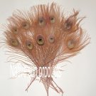 50 Peacock Eye Feathers DUSTY ROSE PINK 10-15" L bleached & dyed