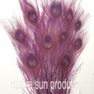 100 Peacock Eye feathers PLUM PURPLE 30-35" Bleached & dyed