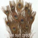 100 Peacock Eye feathers BROWN 30-35" Bleached & dyed 100 Peacock Eye feathers BROWN 30-35" Bleached & dyed