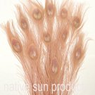 100 Peacock Eye Feathers Dyed DUSTY ROSE 30-35" L Bleached & dyed 100 Peacock Eye Feathers Dyed DUSTY ROSE 30-35" L Bleached & dyed