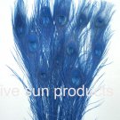 100 Peacock Eye feathers ROYAL BLUE 30-35" bleached  dyed