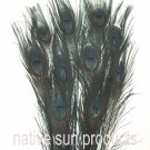 100 Peacock eye feathers BLACK 30-35" bleached & dyed 100 Peacock eye feathers BLACK 30-35" bleached & dyed
