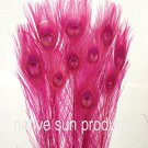100 Peacock Eye feathers HOT PINK 30-35" bleached dyed 100 Peacock Eye feathers HOT PINK 30-35" bleached dyed