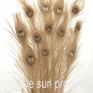 100 Peacock Eye feathers GOLD IRIDESCENT 30-35" Bleached & dyed