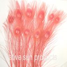 100 Peacock Eye feathers Coral Pink 30-35" bleached  dyed