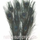 10 Peacock feathers w eyes BLACK 30-35" dyed 10 Peacock feathers w eyes BLACK 30-35" dyed