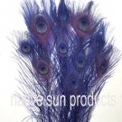 10 Peacock Feathers w Eyes Regal Purple 30-35" L