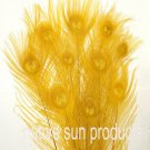 10 Peacock Feathers w Eyes Gold 30-35" L