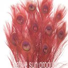 10 Peacock Feathers w Eyes RED 30-35" L