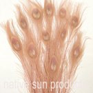10 Peacock Feathers w Eyes Dyed DUSTY ROSE 30-35" L