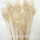 10 Peacock Feathers w Eyes EGGSHELL 30-35" L
