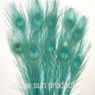 10 Peacock Feathers w Eyes Bleached & dyed AQUA 30-35" L